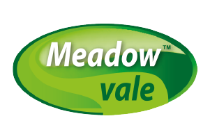 Logo_meadowvale.png